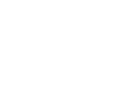 Icone Euro