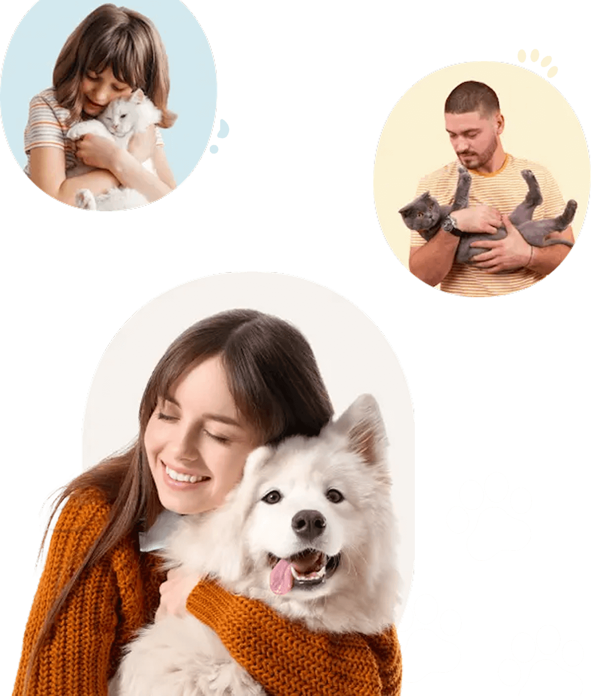 animaux avec propriétaire